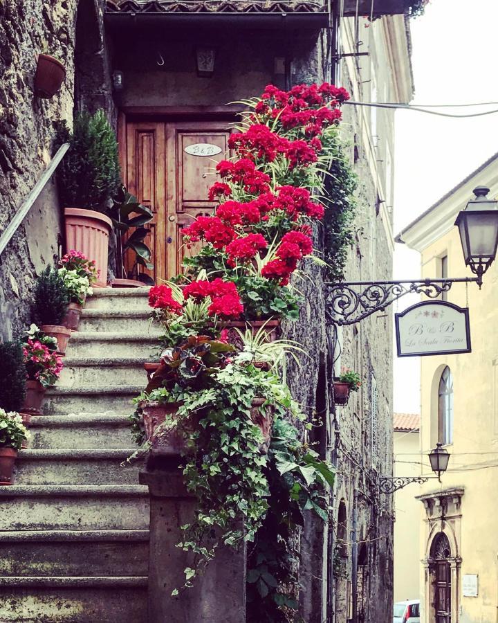 Bed and Breakfast La Scala Fiorita à Anagni Extérieur photo